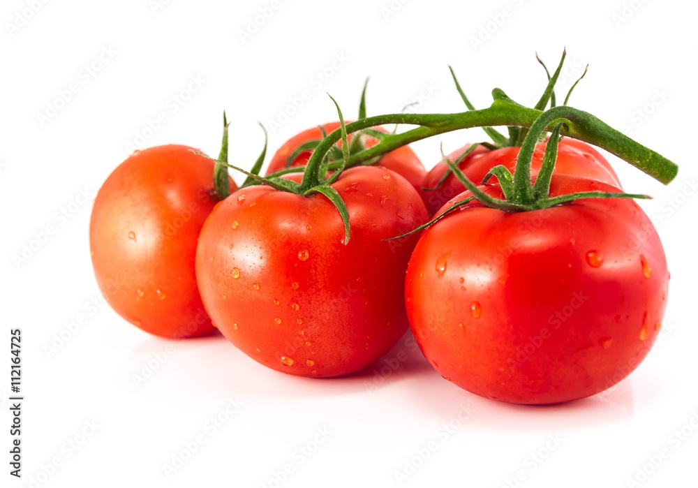 Red tomatoes isolated on a white background.
Red tomatoes isolated on a white background.