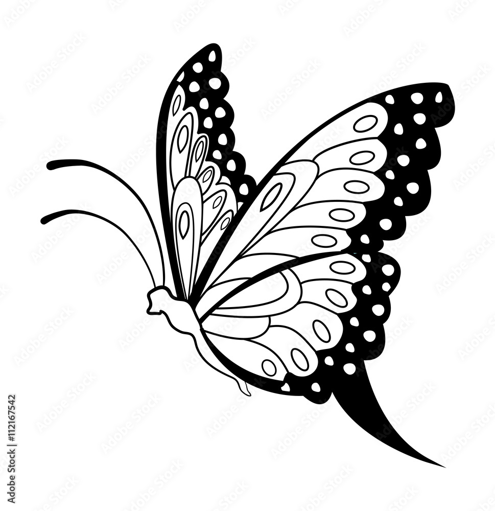 Vector illustration of a black and white butterfly for coloring, farfalla  in bianco e nero vettoriale da colorare Stock Vector