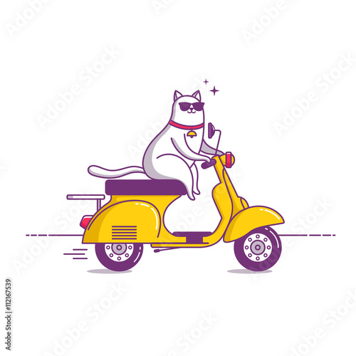 Illustration cat travel