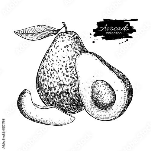 Vector hand drawn avocado and sliced pieces set.