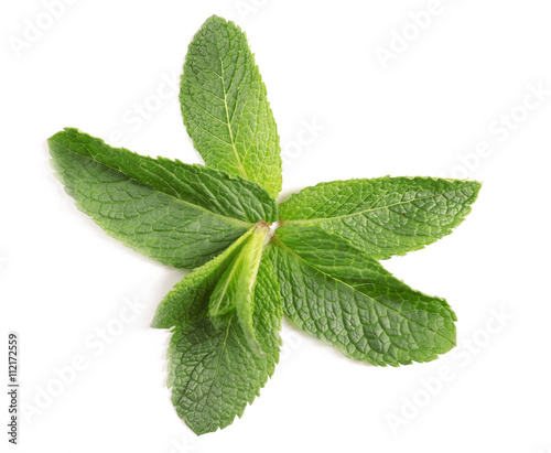 Fresh mint leaves on white background, top view