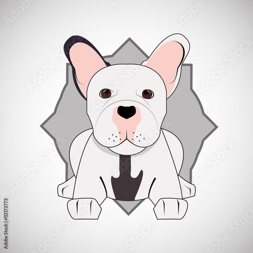 Animal design. french bull dog icon. Isolated illustration   vector