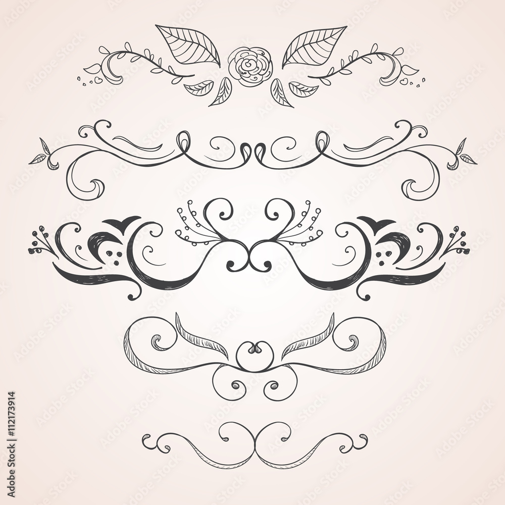 Hand drawn floral design elements
