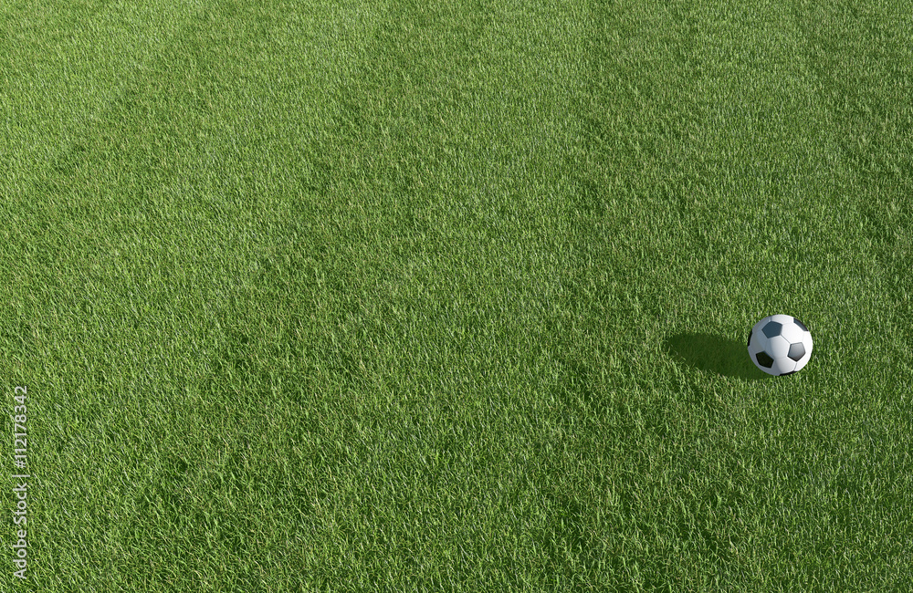 Obraz premium Soccer, Football field background 