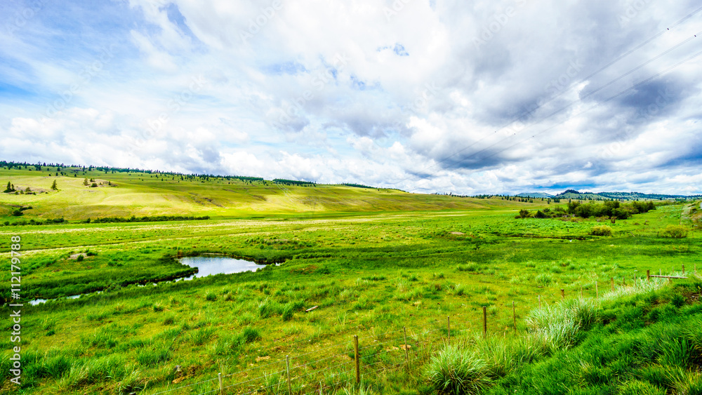 The wide open grasslands and rolling hills of the Nicola Valley between Kamloops and Merritt, British Columbia 