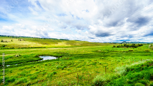 The wide open grasslands and rolling hills of the Nicola Valley between Kamloops and Merritt, British Columbia 