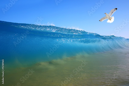 Splash of water with seagull