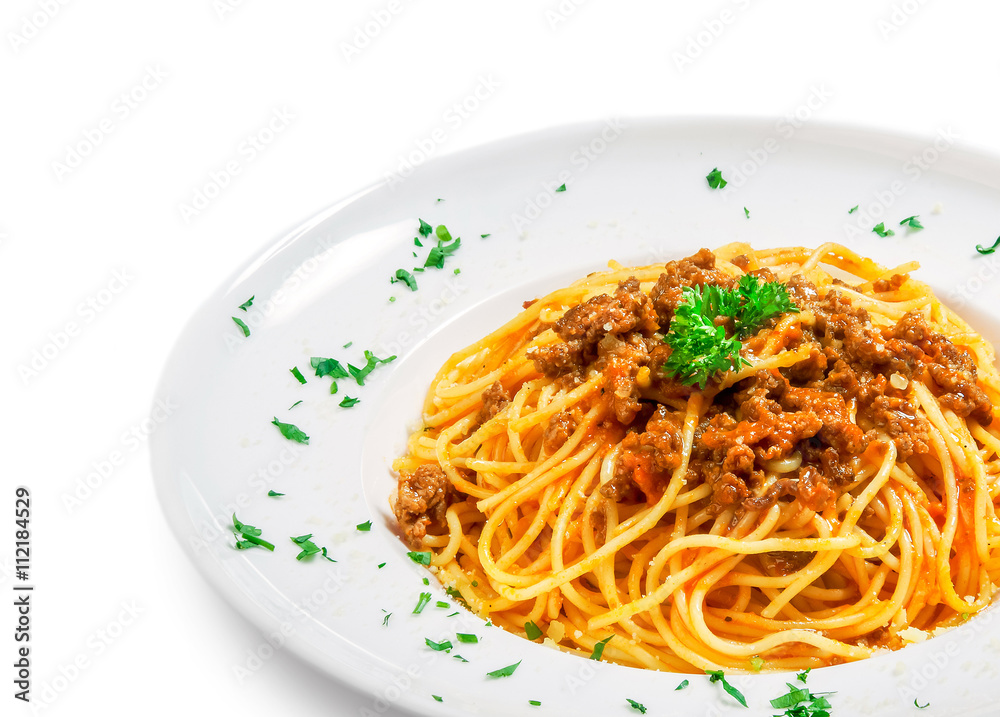 Bolognese Bolognese