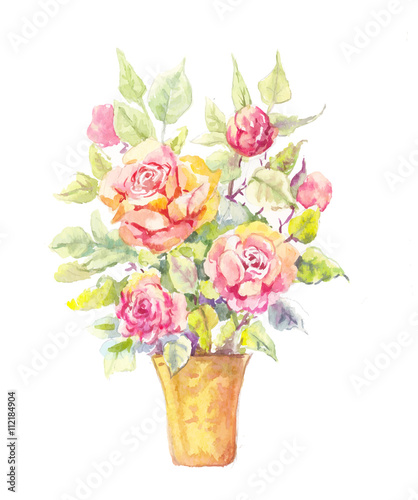 Wallpaper Mural Rose potted illustration. Potted rose in watercolor. Sketch of b Torontodigital.ca