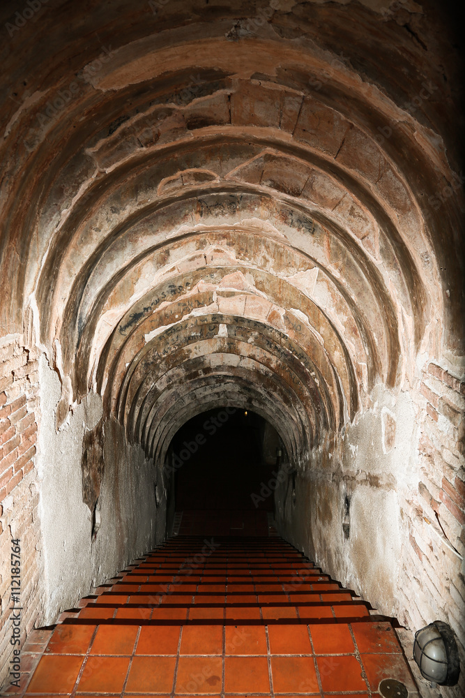 tunnel background and business concept. tunnel with old brick. the end of tunnel and concept business successfully. mystery tunnel or mystery way. tunnel damaged and waited for repair.