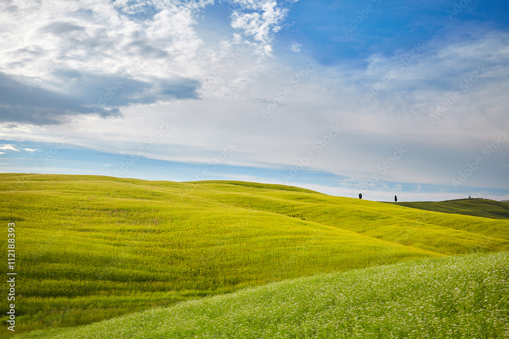 The beautiful colors of the spring in Tuscany