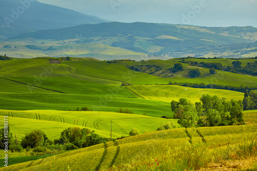 The beautiful colors of the spring in Tuscany