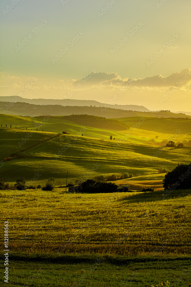 Fototapeta premium The beautiful colors of the spring in Tuscany