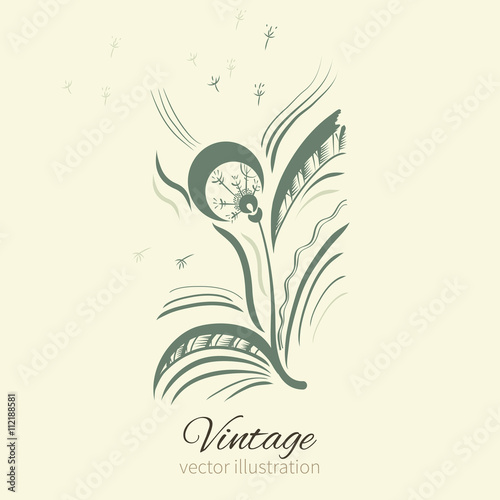 Dandelion graphic illustration isolated on background with space for text, Vector illustration for wallpaper, wrapping paper, textile, cosmetics, package design, medicine, natural organic product