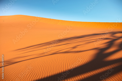 Namibian landscapes