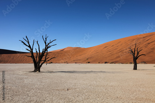 Photography Namibian landscapes