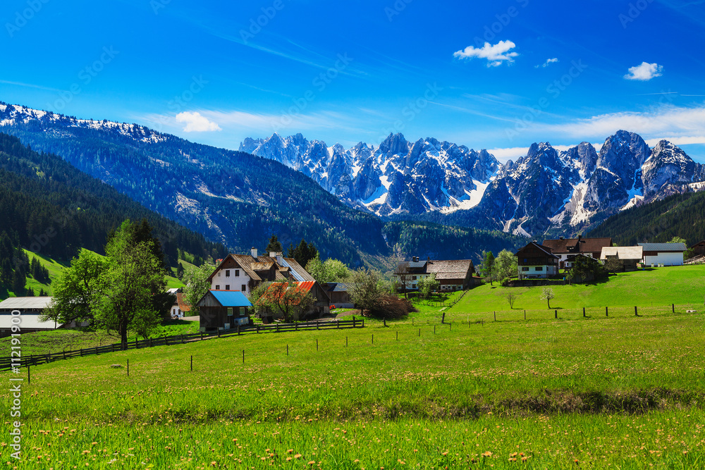 Green, spring alpine meadow on the background of snowy peaks in