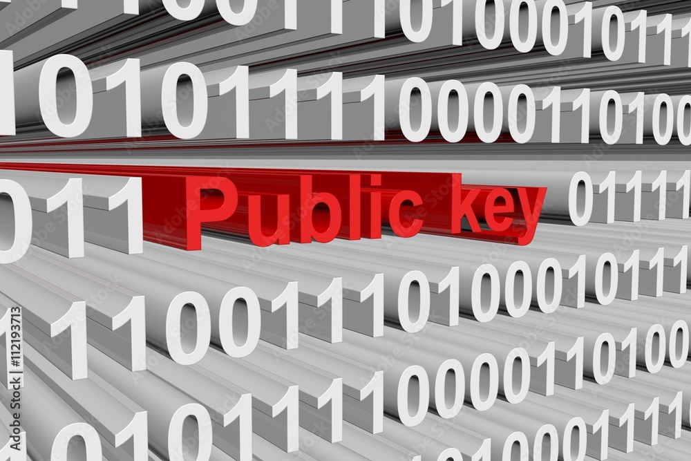 public key in a binary code 3D illustration