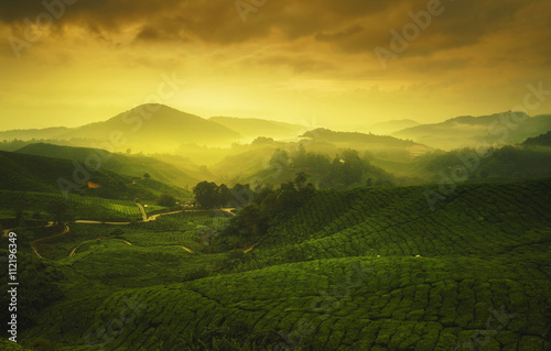 Early warm morning sunrise over hilly tea plantation in Cameron Highlands