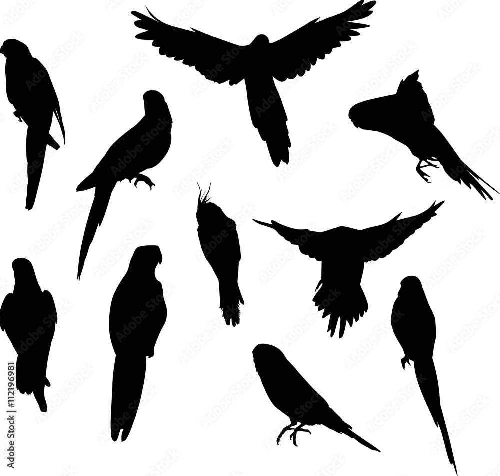 Fototapeta premium ten small black parrot silhouettes collection