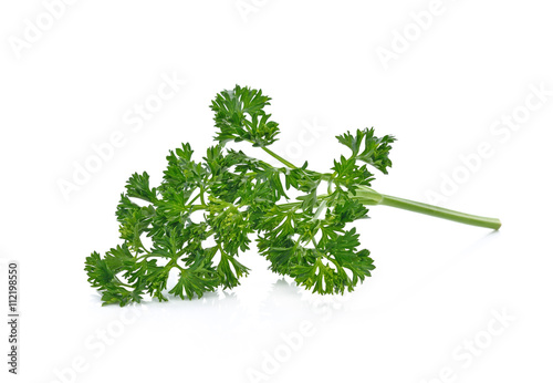 Fresh parsley isolated on white background