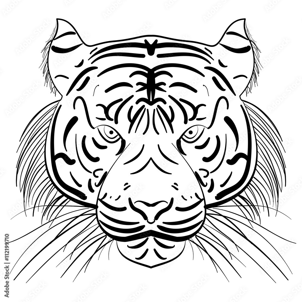 Vector stylized face of ink sketch tiger