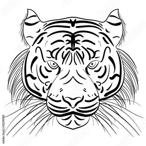 Fototapeta Naklejka Na Ścianę i Meble -  Vector stylized face of ink sketch tiger
