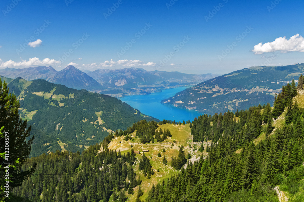 Beautiful idyllic Alps landscape with lake and mountains in summer, Switzerland
