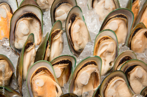 A Photo of Mussel  seafood on ice

