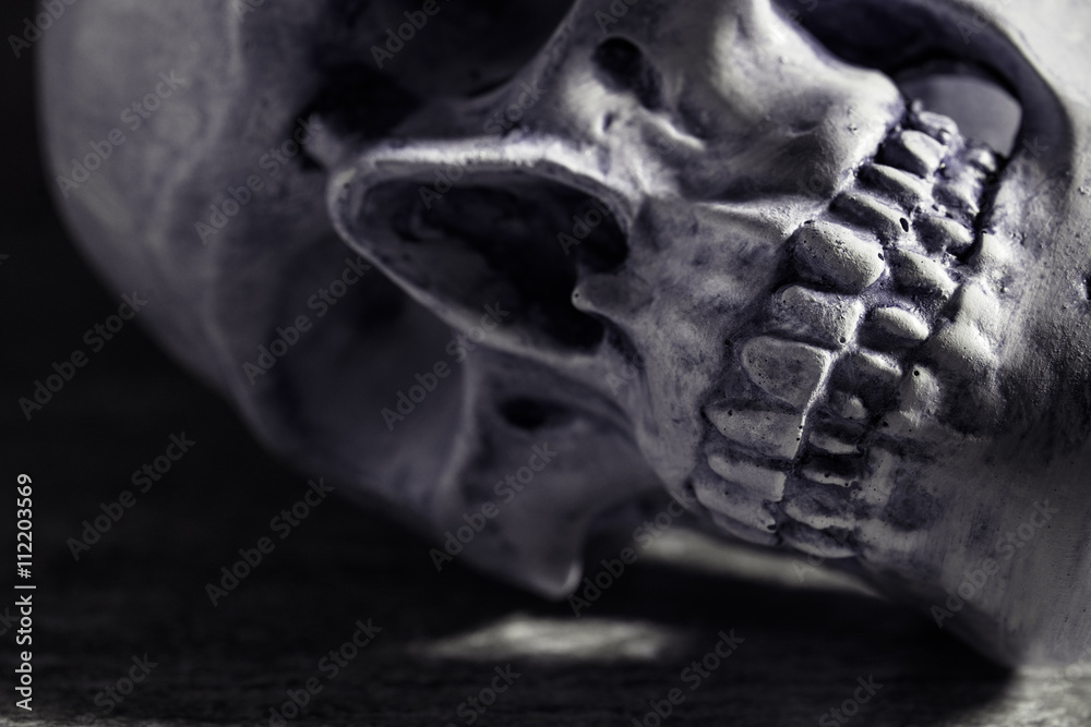Human skull with dark background. Concept of death, horror and anatomy. Spooky halloween symbol. Human skull with dark background. Concept of death, horror and anatomy. Spooky halloween symbol.