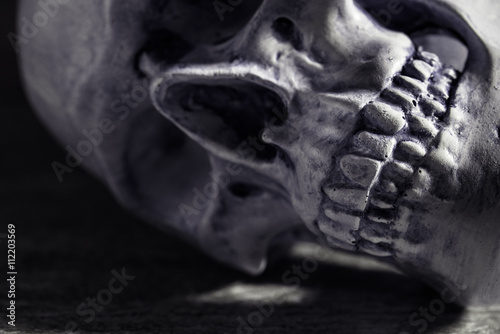 Human skull with dark background. Concept of death, horror and anatomy. Spooky halloween symbol.