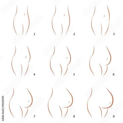 Pregnancy icons - growth of belly in nine stages - outline icon illustration over white background.