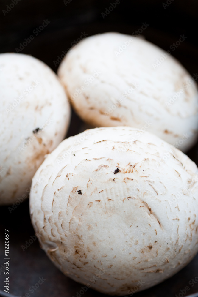 Champignon mushrooms Champignon mushrooms
