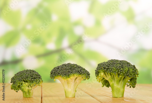 Fresh broccoli close-up on  abstract green background.