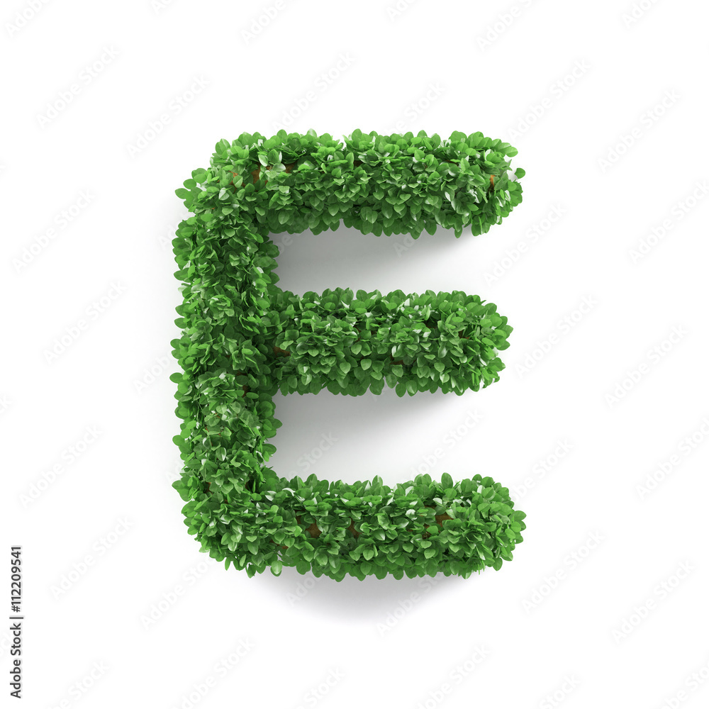 Green leaves E ecology letter alphabet font Green leaves E ecology letter alphabet font