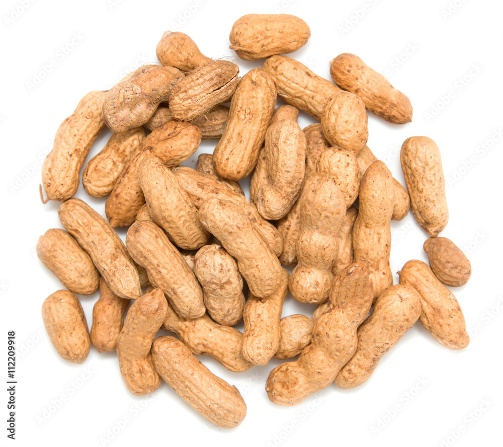 peanut in a peel isolated on white background peanut in a peel isolated on white background