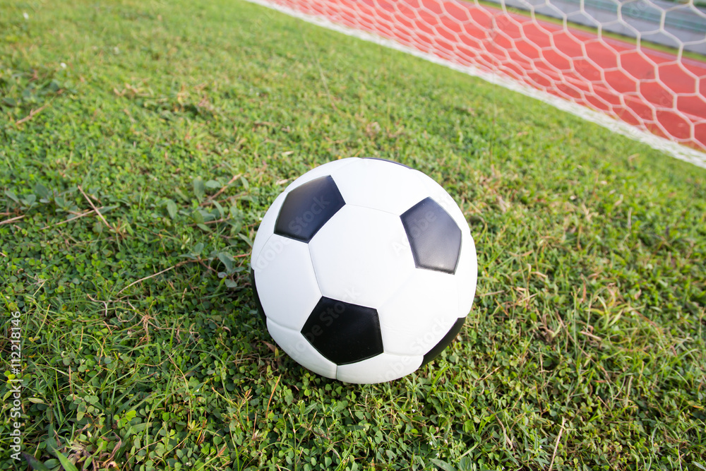 Fototapeta premium Close up soccer ball on field
