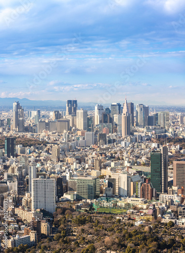 Tokyo Shinjuku skylines © vichie81