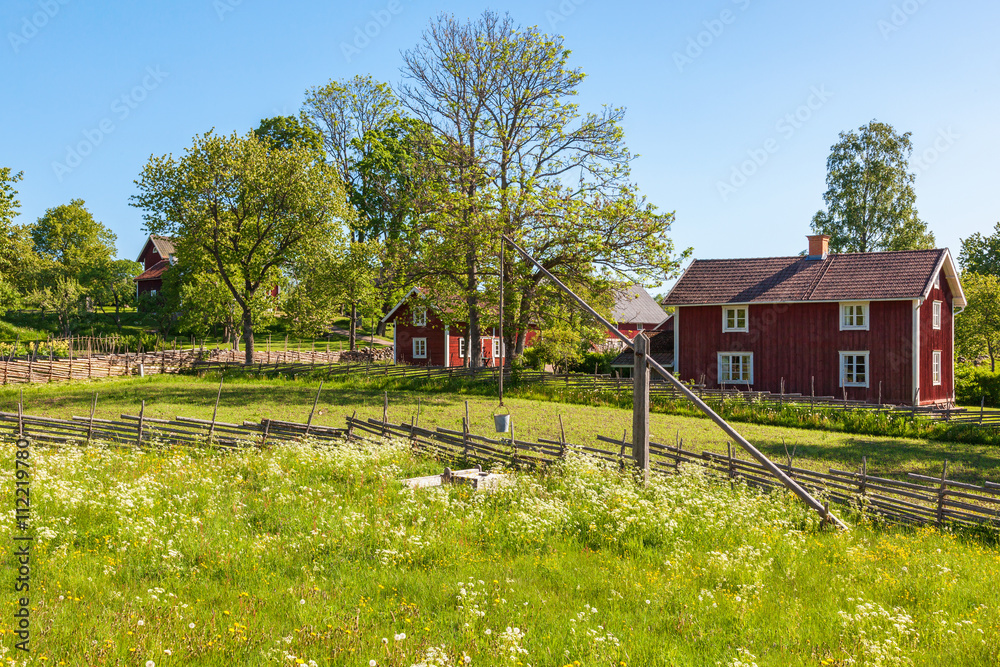 Obraz premium Old Farmhouse with a water well on the flowering meadow