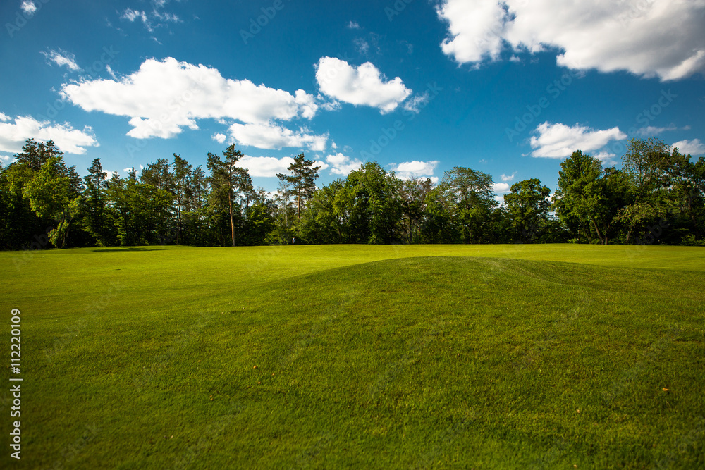 Green lawn with trees in park under sunny light. Sunny park afternoon. Green grass and blue sky with white clouds in beautiful park in fresh air and nature. Green lawn with trees in park under sunny light. Sunny park afternoon. Green grass and blue sky with white clouds in beautiful park in fresh air and nature.