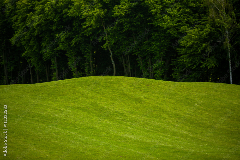 Obraz premium View nature landscape of beautiful golf course. Nice nature and environment with heavy forest or wood.