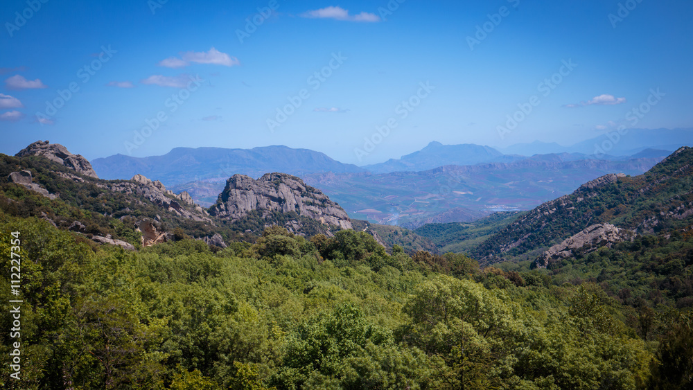 Fototapeta premium Forest Hills of Ficuzza on Sicily
