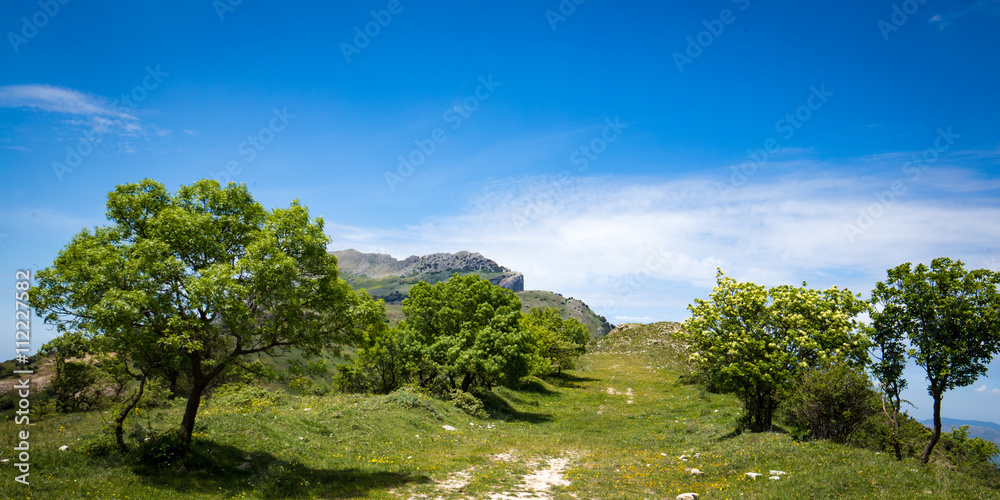 Forest Hills of Ficuzza on Sicily Forest Hills of Ficuzza on Sicily