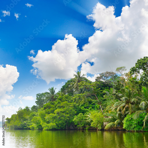 Lake in jungle