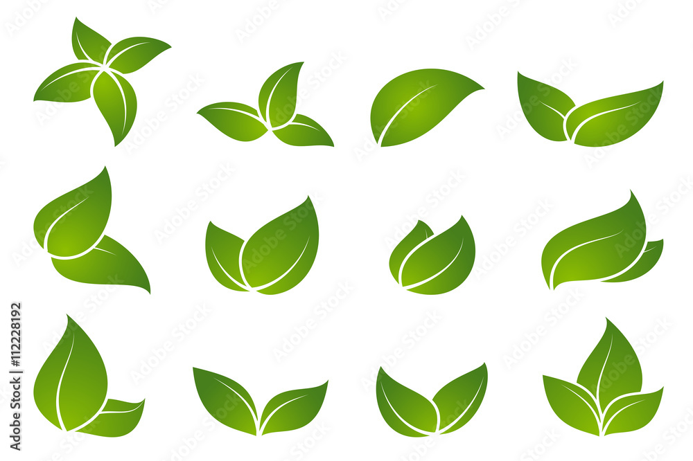 Green leaf icon set. Green leaf icon set.