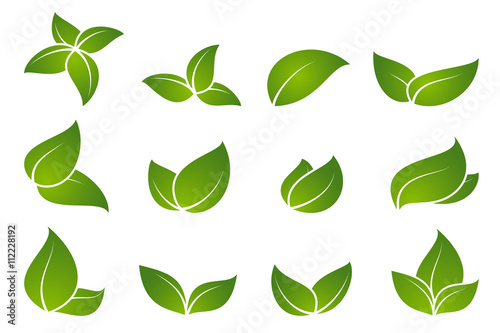 Green leaf icon set.