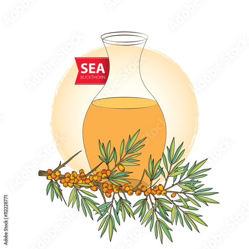 Vector branch of sea buckthorn or sandthorn and bottle with sea buckthorn oil isolated on white. Herbal elements in contour style. Concept with sea buckthorn oil for food, pharmacy or cosmetic design.