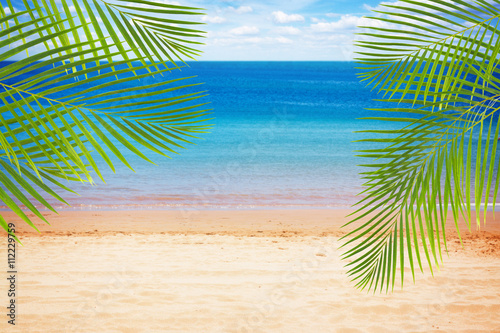 Summer beach with palms © neirfy
