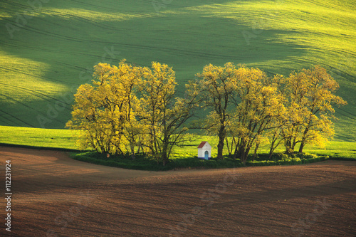 Fototapeta Naklejka Na Ścianę i Meble -  Summer evening in the mountains