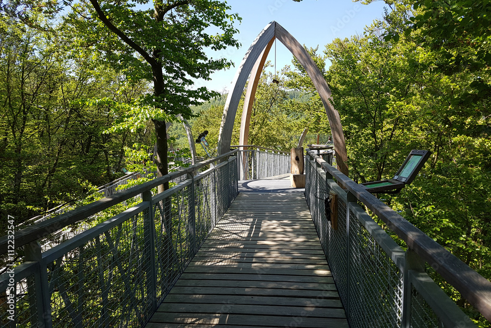 Fototapeta premium Baumkronenweg, Hessen, Buchenwald, Nationalpark, Kellerwald